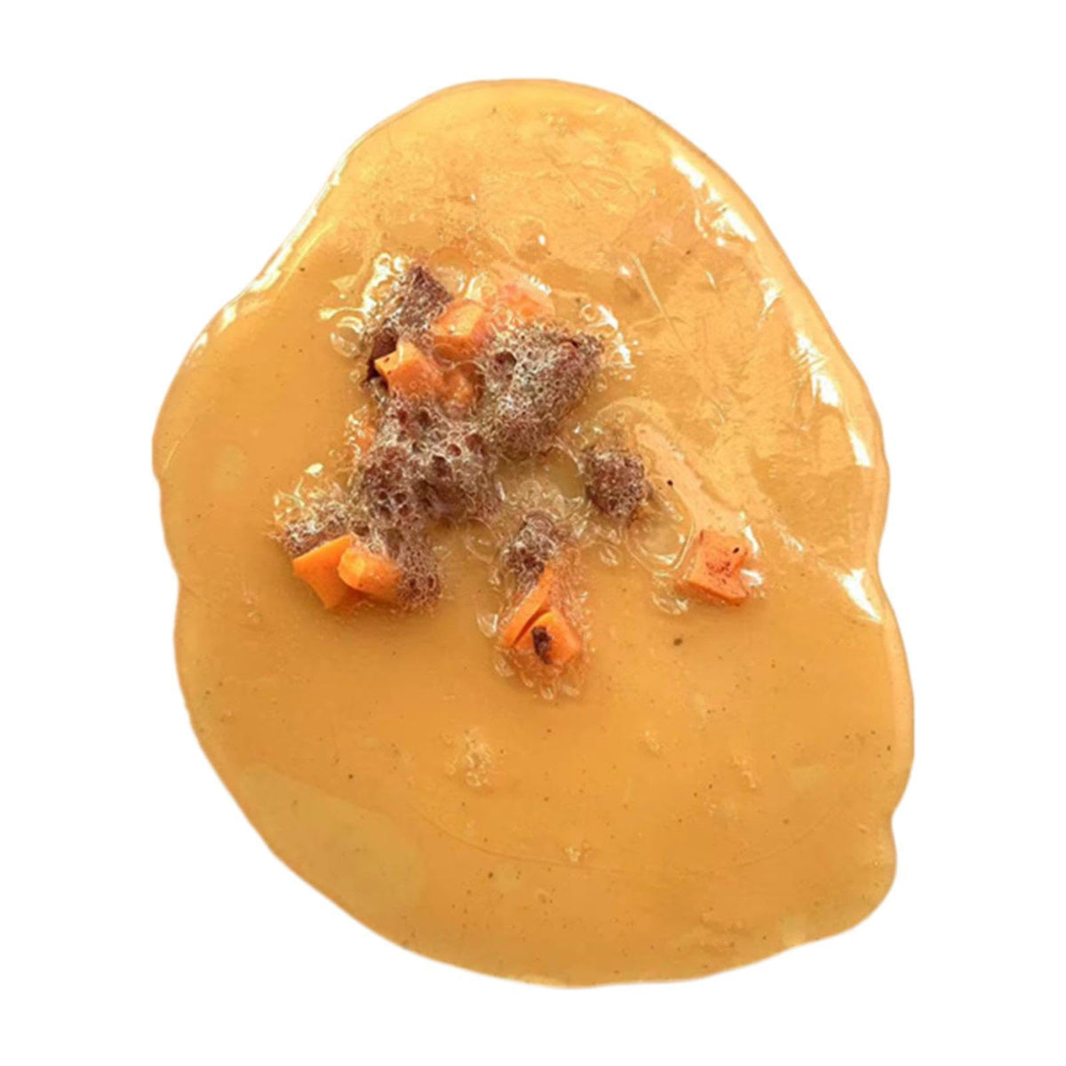 Fake Vomit Toys, Lifelike Vomit Toy, Props Joke Tricky Toys, Throw Up Novelty for Halloween April Fools' Day Party Office Bar Pub