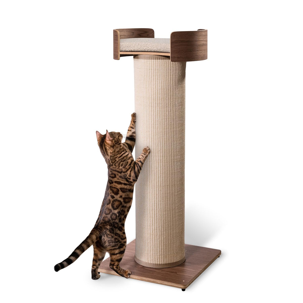 ONE FAST CAT - Giant Scratching Tower w/Perch - 44.5" Height with Replaceable Sisal and Removable Bed - Ash