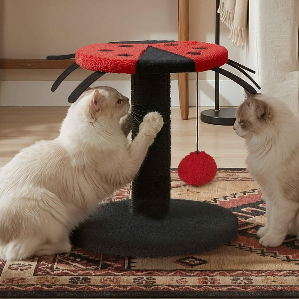 BOWHAUS Lady Bug-Style Cat Scratching Post, Cat Scratcher with Sisal Rope and Interactive Hanging Ball, 10 Inch Scratching Post for Indoor Cats and Kittens