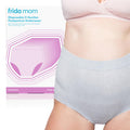 Women's Frida Mom Postpartum Disposable C-section Size Regular Panties