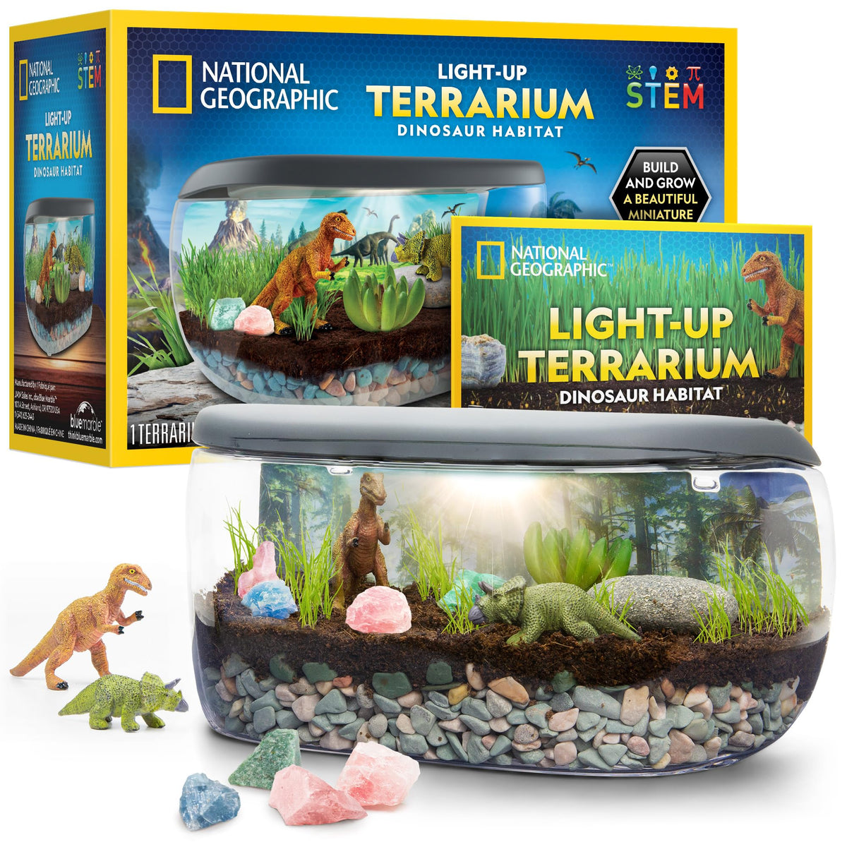 National Geographic Light Up Dinosaur Terrarium Kit for Kids – Build a Dino Habitat with Real Plants & Gemstones, Night Light, Science Kit, Dinosaur Toys for Kids Ages 6 7 8 9 (Fanci Exclusive)